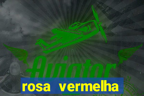 rosa vermelha (letra e cifra)